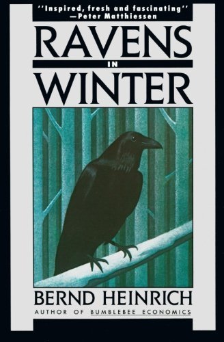 Ravens in Winter (1989) Bernd Heinrich